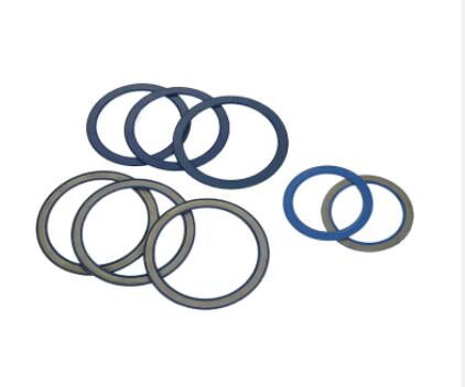 Bearing cap seal