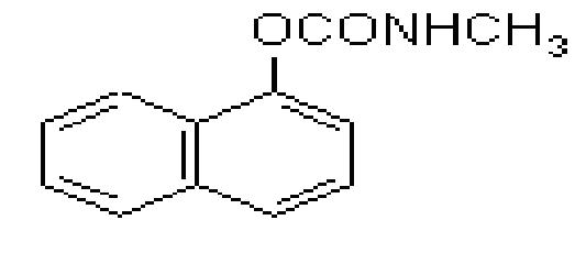 Carbaryl