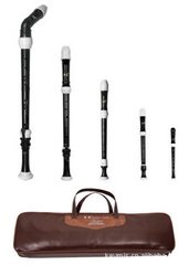 recorder musical instrument packaging