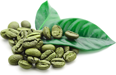Green Coffee Beans