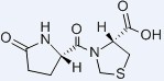 Pidotimod CAS NO.: 121808-62-6