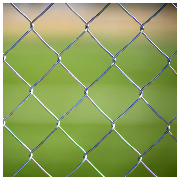 Stainless Steel Wire Mesh Anping Haotong