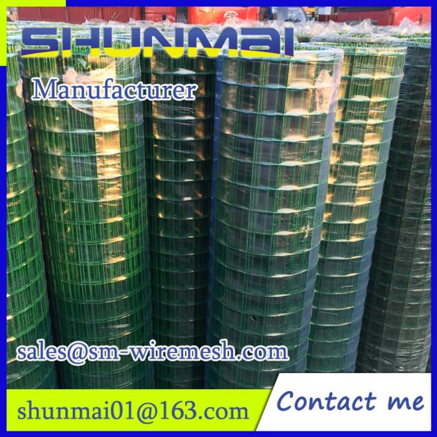 Welded Wire Mesh