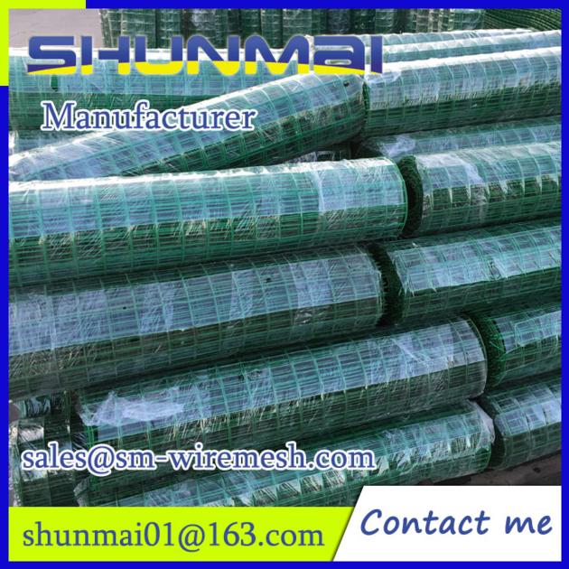 Welded Wire Mesh