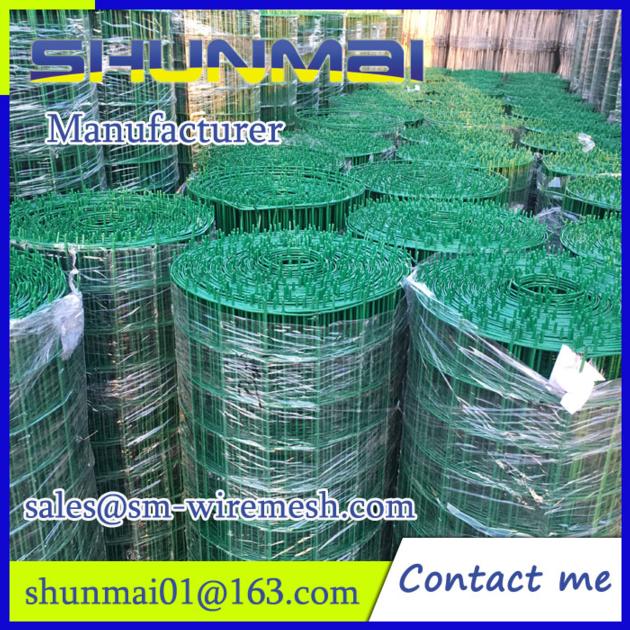 Welded Wire Mesh