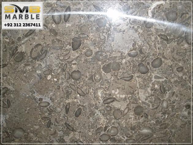 FOSSIL BROWN