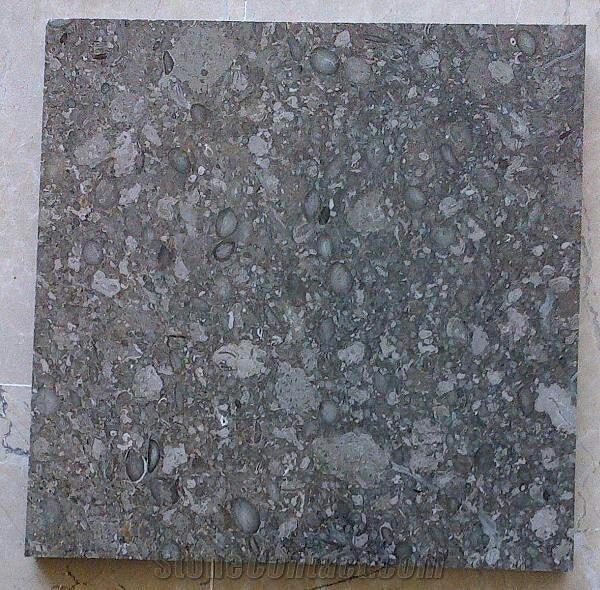 FOSSIL BROWN