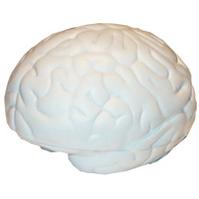 Brain shaped stress ball
