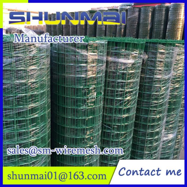 Welded Wire Mesh