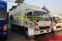 HOWO 7 cargo truck