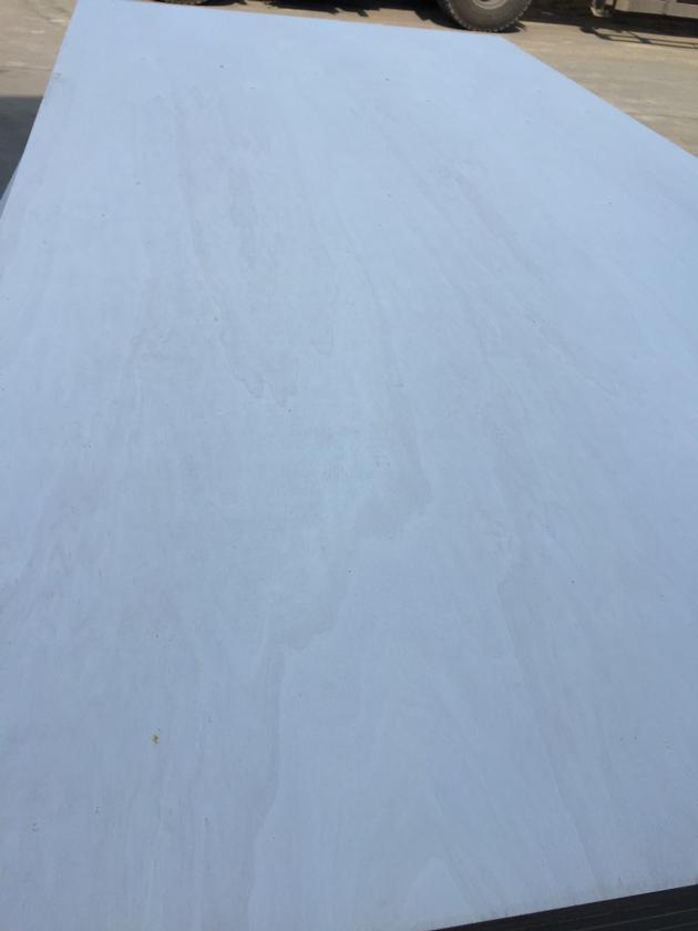 Premium Poplar Plywood For Furniture Use