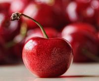 Acerola Cherry extract:VC powder,own factory