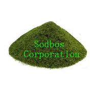Seaweed Powder