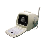 B-ultrasound