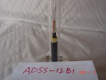 Fiber Optic Cable