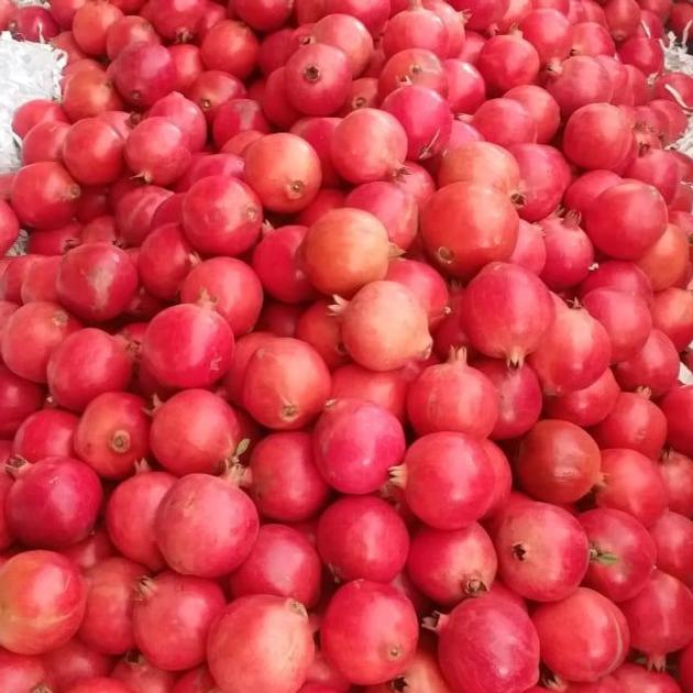 Fresh Pomegranate