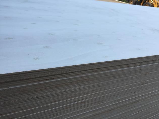 Premium Poplar Plywood for Furniture Use