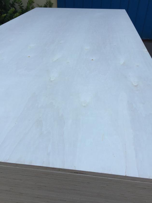 Premium Poplar Plywood For Furniture Use