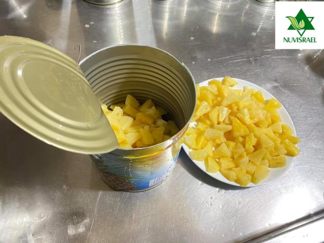 Canned Pineapple Pieces