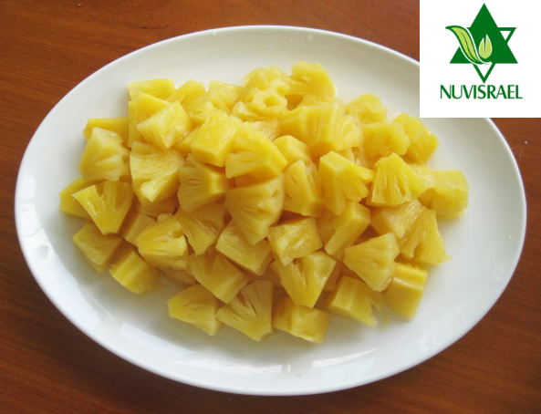 Canned Pineapple Pieces