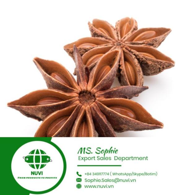 Standard star anise
