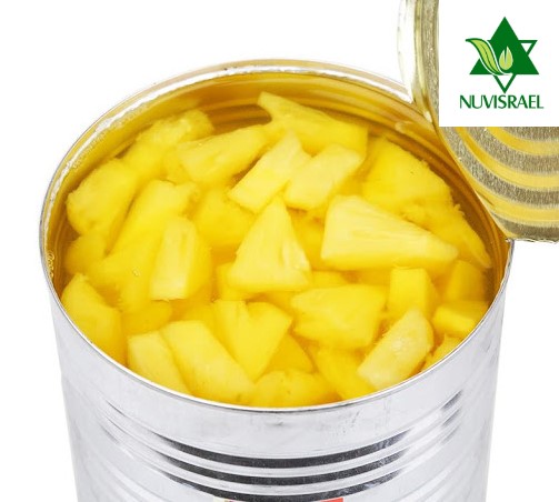 Canned Pineapple Tidbits