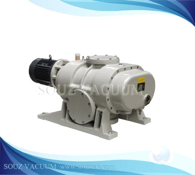 Roots vacuum pump