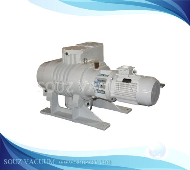 Roots Vacuum Pump