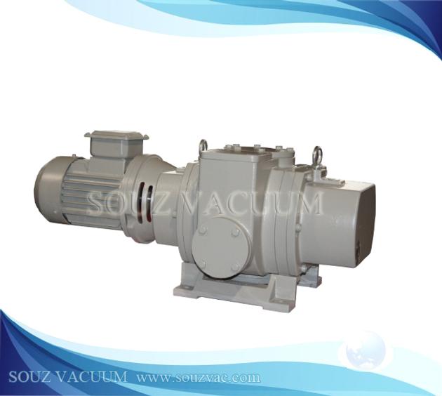 Roots Vacuum Pump