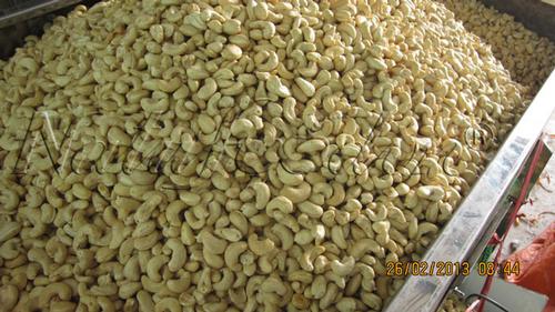 Cashew Nut Kernels