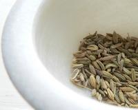 Fennel