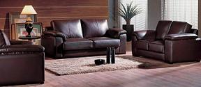 Modern leather sofa sets