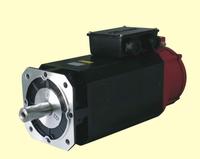 Spindle Motor 