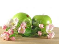 Apple PE: Phloretin 70%90%98%,HPLC
