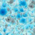 powder coatings