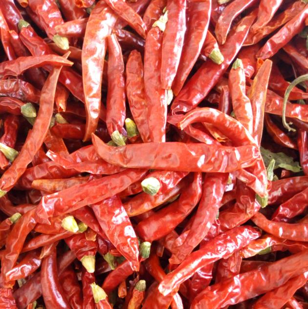 Dry Red Chilli