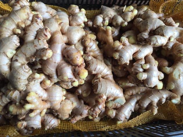 FRESH GINGER, VIETNAM ORIGIN