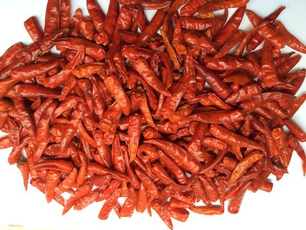 Vietnam Dried red chilli pepper 