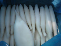 Squid tube
