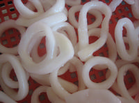 Squid ring