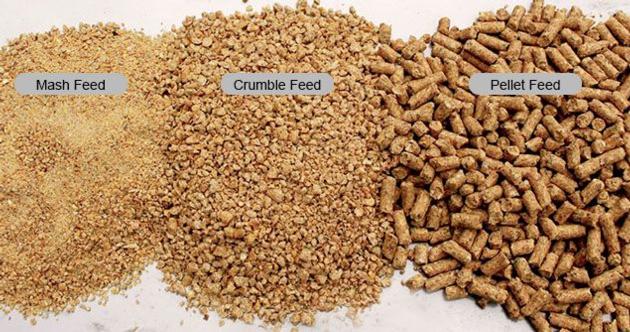 POULTRY FEED
