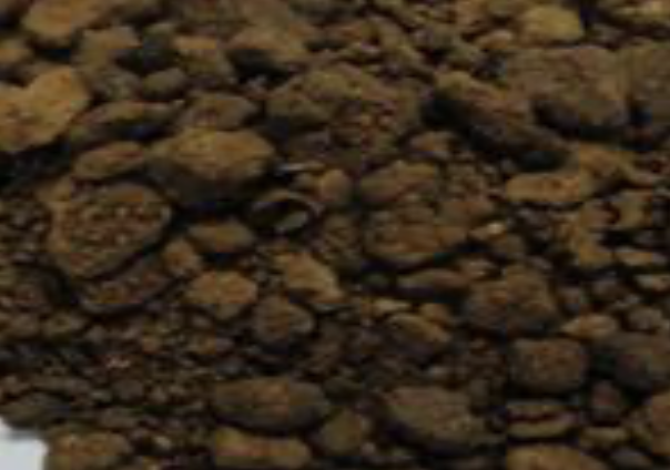 RAW MATERIALS FOR CATTLE FEED