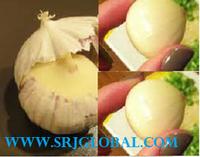 Single clove Garlic or Single Seed Himalayan Garlic