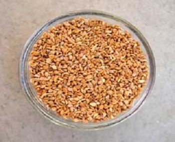 organic Ajwain Seeds