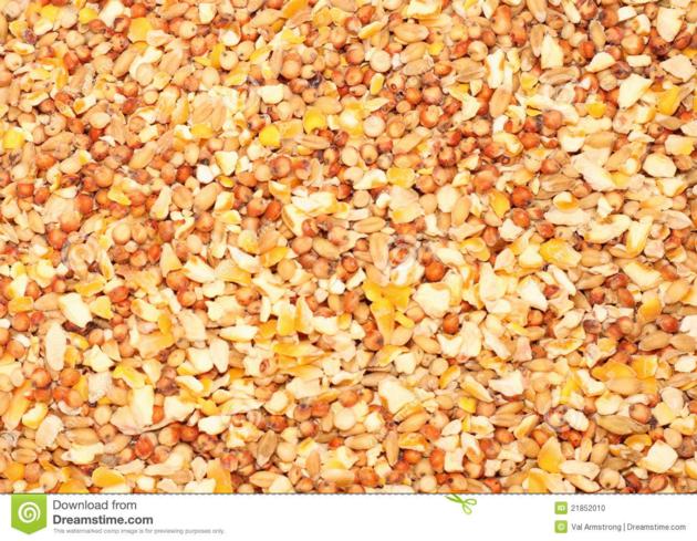 POULTRY FEED