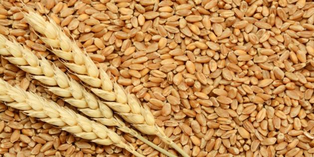 Wheat