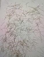 Stainless steel fiber