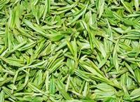 Green Tea Extract 30% L- Theanine(sales06@nutra-max.com)
