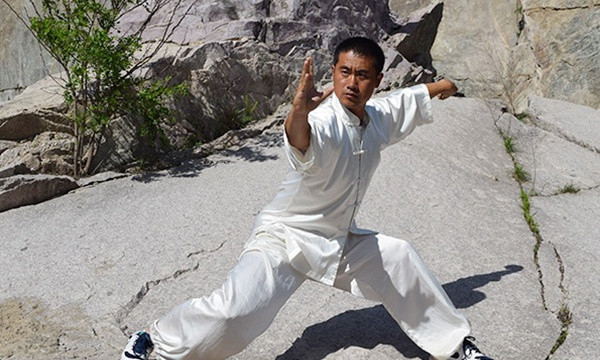 Taiji Plum Blossom Mantis Fist