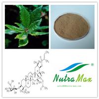 Gymnema Silvestre Extract(sales06@nutra-max.com)